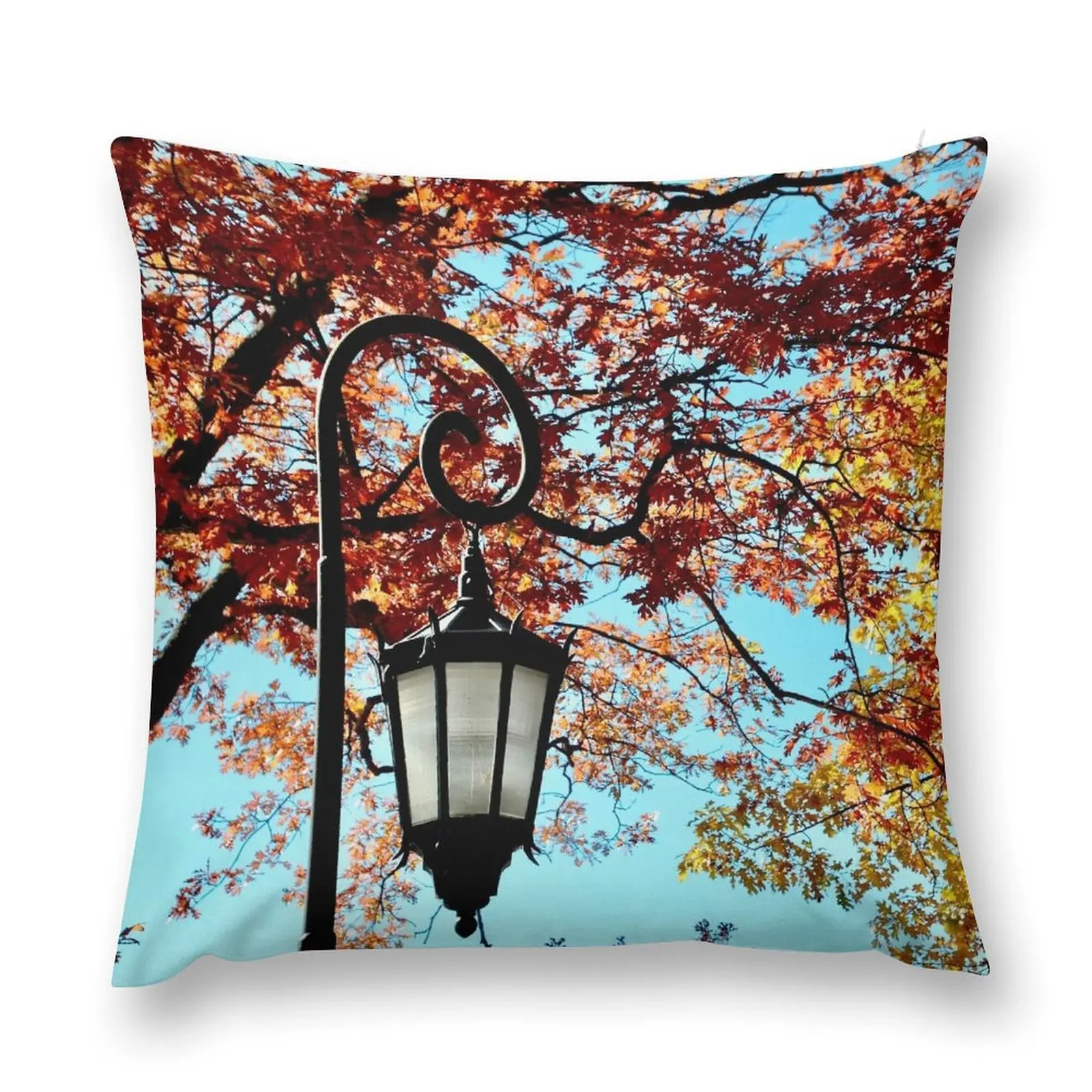 Wellesley Lamppost in Autumn Throw Pillow Pillow Cases Luxury Cushion Cover pillow
Wellesley Lamppost in Autumn Throw Pillow Pillow Cases Luxury Cushion Cover pillow