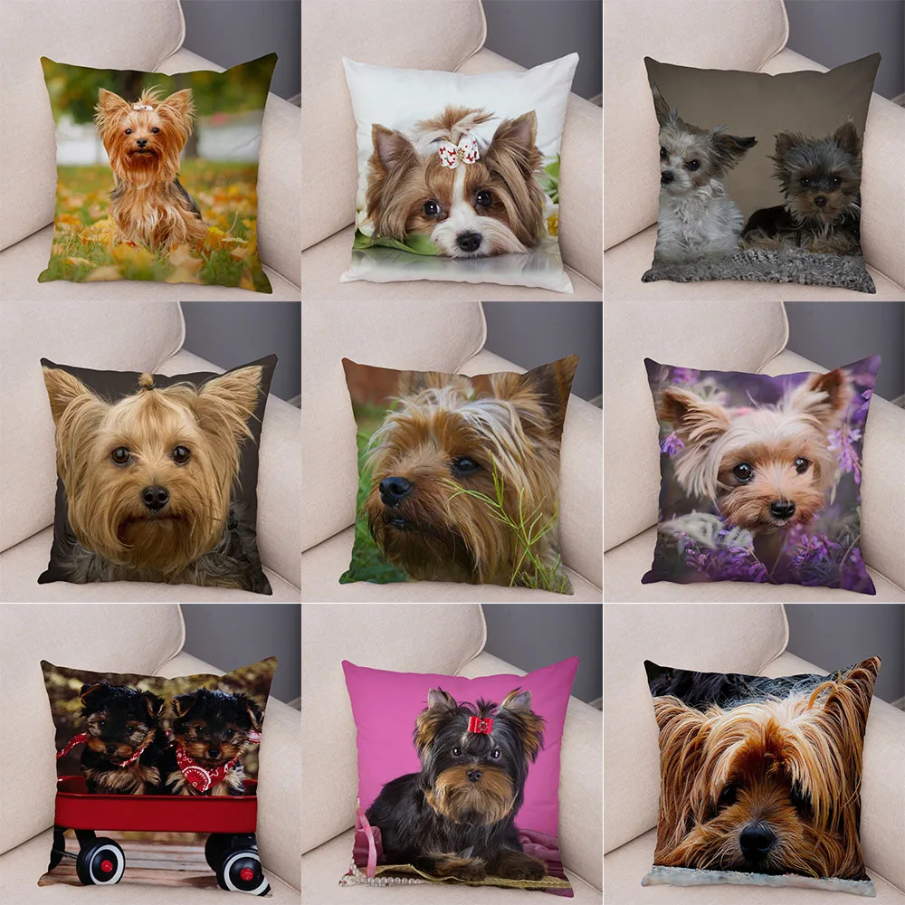 45*45cm Cute Pet Dog Print Pattern Cushion Cover Home Living Room Sofa Decoration Square Polyester Pillow
45*45cm Cute Pet Dog Print Pattern Cushion Cover Home Living Room Sofa Decoration Square Polyester Pillow