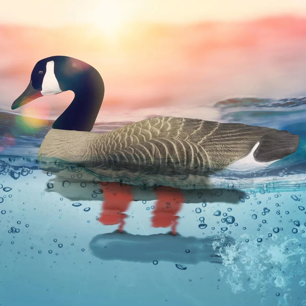 Охотничья приманка для гуся, электроприводный двигатель, водяная птица, приманка, двигатели для охоты на утках, уличное оборудование, охотничьи аксессуары
Охотничья приманка для гуся, электроприводный двигатель, водяная птица, приманка, двигатели для охоты на утках, уличное оборудование, охотничьи аксессуары