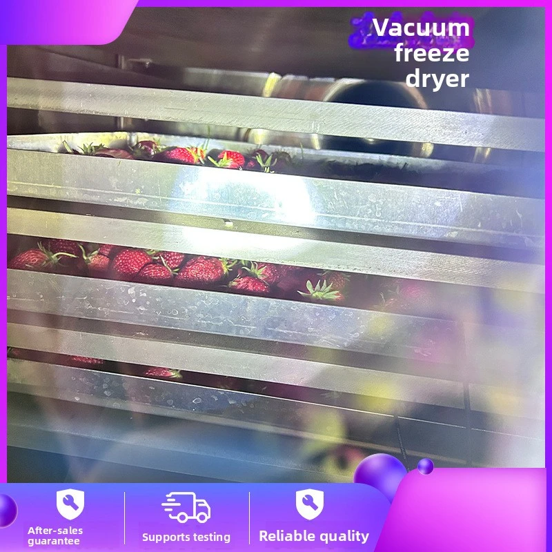 Low-Temperature Fungus Products Large Freeze-Drying Equipment Pharmaceuticals Vacuum Freeze Dryer For Pet Snacks
Low-Temperature Fungus Products Large Freeze-Drying Equipment Pharmaceuticals Vacuum Freeze Dryer For Pet Snacks