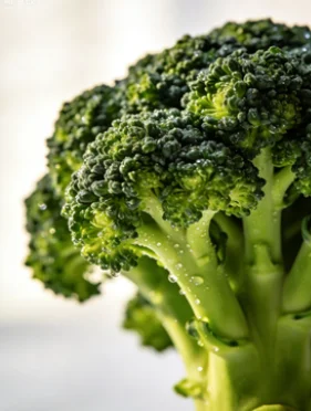 2026 4in1 TECAR Vacuum Shockwave Therapy Pain Relief Recovery Lymph Drainage Sports Rehab Beauty Portable Device
2026 4in1 TECAR Vacuum Shockwave Therapy Pain Relief Recovery Lymph Drainage Sports Rehab Beauty Portable Device