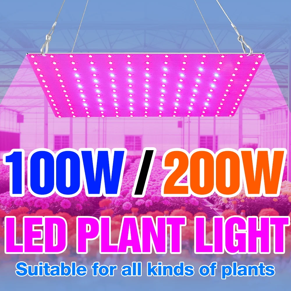 200W Full Spectrum Grow Lights LED Quantum Board Plant Cultivation Lamp Greenhouse Tent Fruit Cactus Vegs Seeding Fill Lighting
200W Full Spectrum Grow Lights LED Quantum Board Plant Cultivation Lamp Greenhouse Tent Fruit Cactus Vegs Seeding Fill Lighting