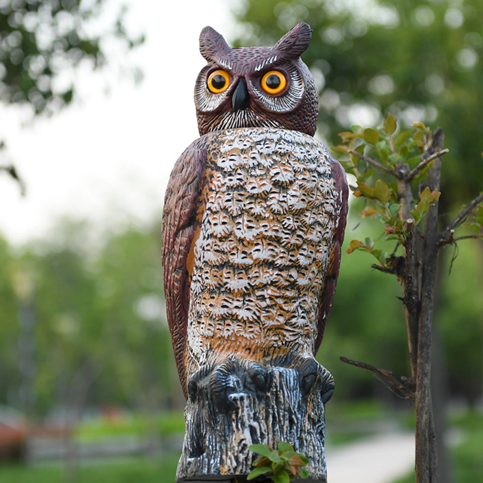 Scare Bird Away 18inch Realistic Owl Decoy Pigeon Crow Scarecrow Statue Deterrent Life Like
Scare Bird Away 18inch Realistic Owl Decoy Pigeon Crow Scarecrow Statue Deterrent Life Like