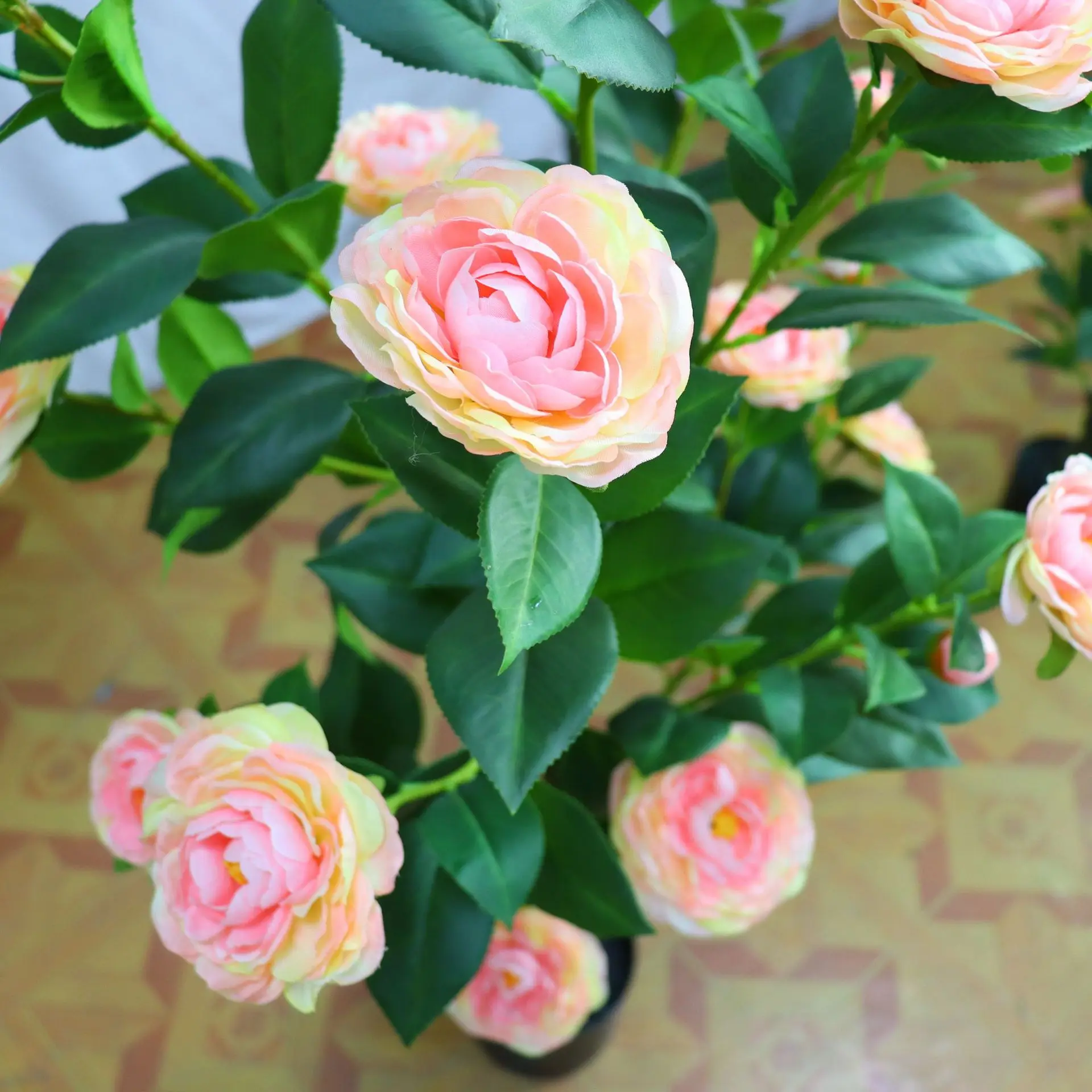 Simulation green plant large camellia rose tree potted home window soft decoration landscaping ornaments artificial flowers
Simulation green plant large camellia rose tree potted home window soft decoration landscaping ornaments artificial flowers