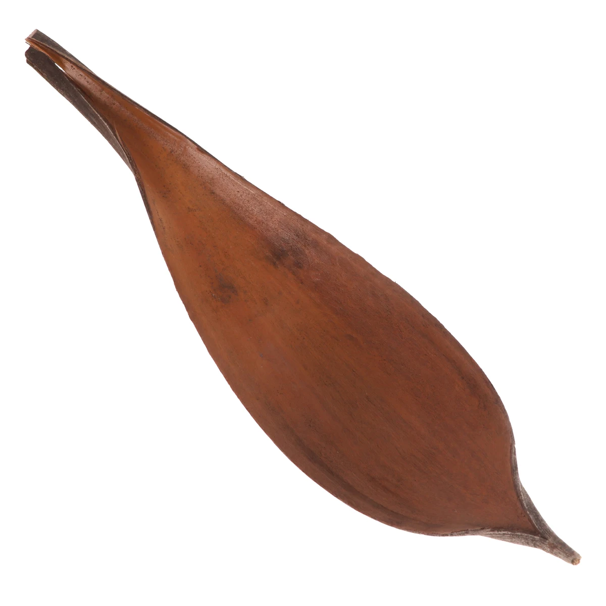 Wooden Decorative Ornaments Craft Home Office Bedroom Room Decoration Lifelike Plant Design Storage
Wooden Decorative Ornaments Craft Home Office Bedroom Room Decoration Lifelike Plant Design Storage