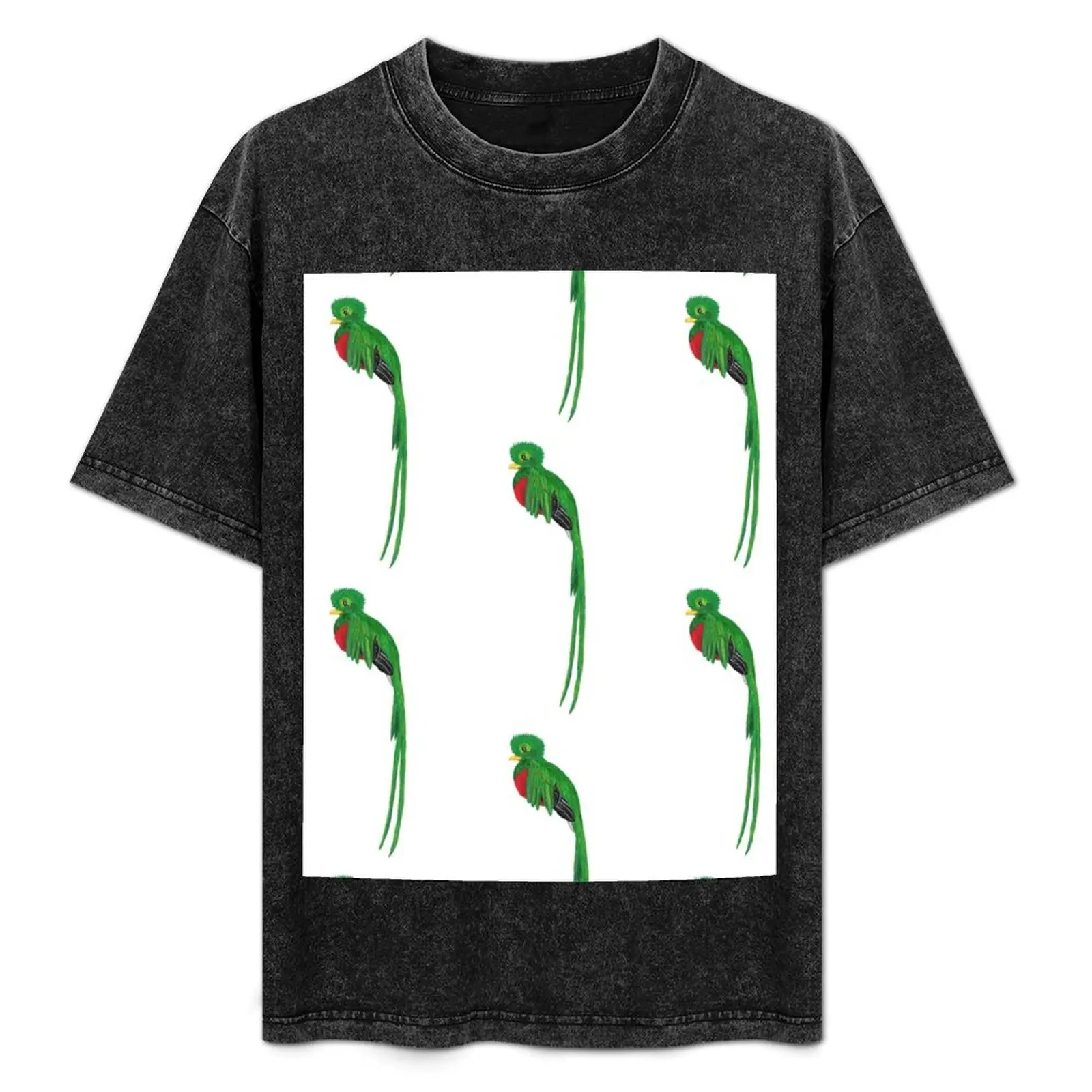 Resplendent Quetzal T-Shirt boys animal print hippie clothes animal prinfor boys korean fashion tee shirts for men
Resplendent Quetzal T-Shirt boys animal print hippie clothes animal prinfor boys korean fashion tee shirts for men