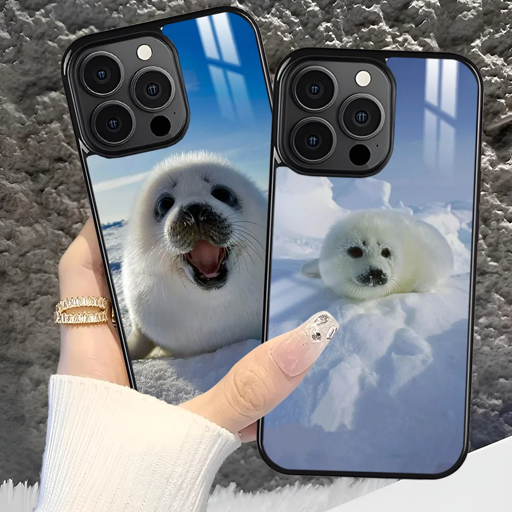 Seal Animal Cute Phone Case For iPhone 16 15 14 13 12 11 Pro Xs Max Mini Plus Antislip Shockproof Hard Funda
Seal Animal Cute Phone Case For iPhone 16 15 14 13 12 11 Pro Xs Max Mini Plus Antislip Shockproof Hard Funda