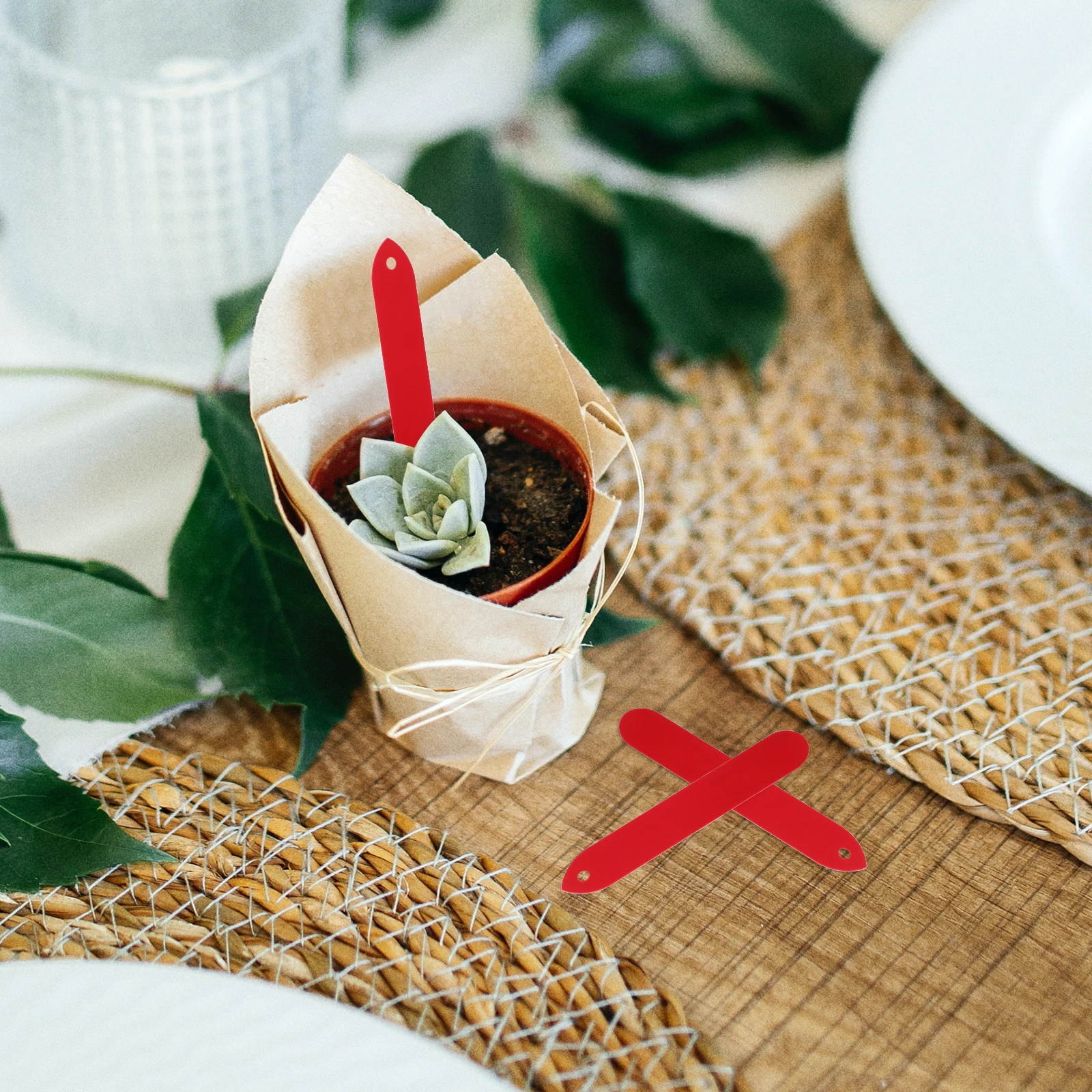 100pcs PVC Garden Plant Labels Waterproof Durable Reusable Identification Tags for Flowers Herbs Seedlings Vegetable Lawn
100pcs PVC Garden Plant Labels Waterproof Durable Reusable Identification Tags for Flowers Herbs Seedlings Vegetable Lawn