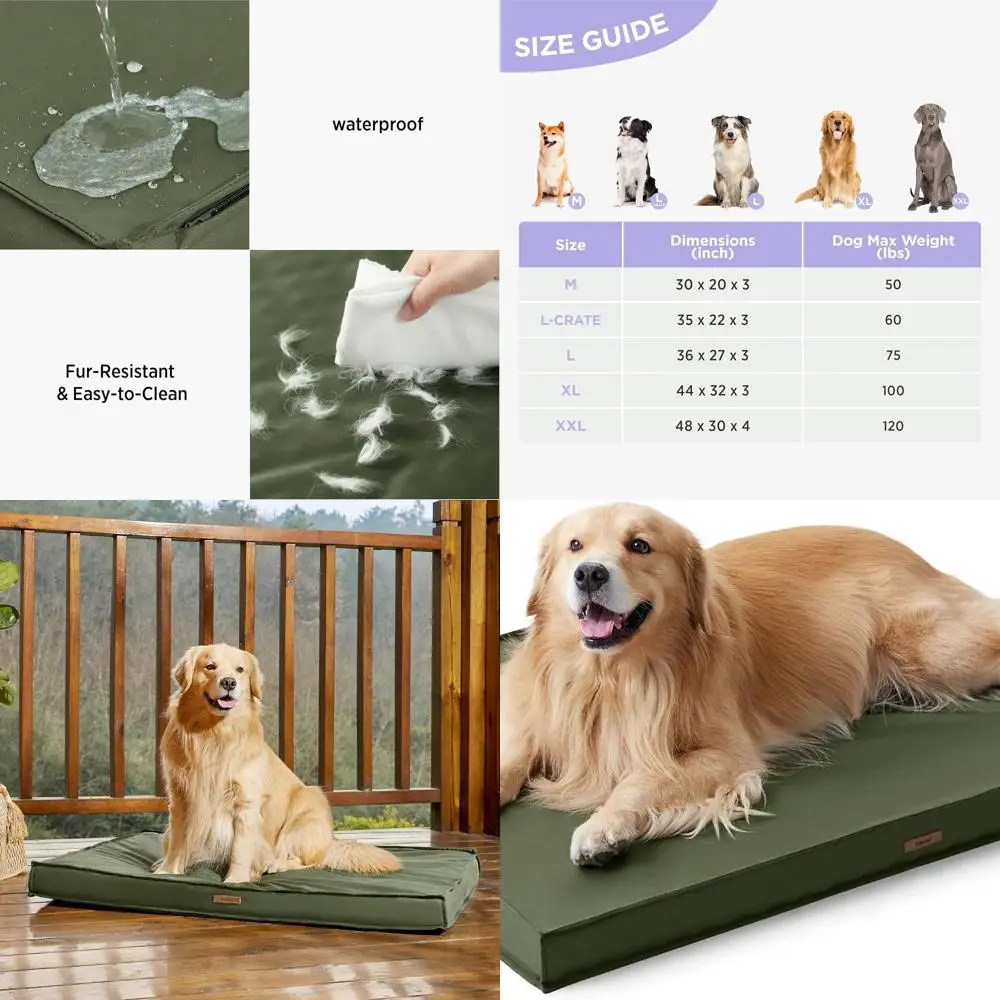 Очень большая ортопедическая кровать для собак XL, водонепроницаемый и съемный чехол, зеленый матрас из пеноматериала для домашних животных 44x32
Очень большая ортопедическая кровать для собак XL, водонепроницаемый и съемный чехол, зеленый матрас из пеноматериала для домашних животных 44x32