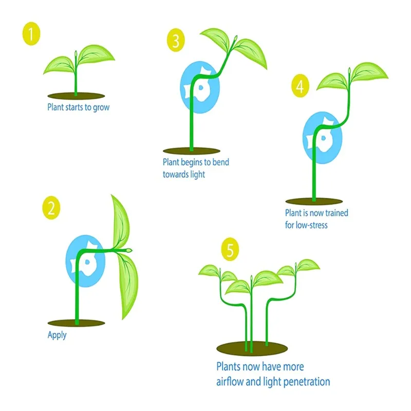 Для садоводства-гиб для растений, 300 шт., регулируемые на 360 градусов, тренажеры для ветвей растений, зажимы
Для садоводства-гиб для растений, 300 шт., регулируемые на 360 градусов, тренажеры для ветвей растений, зажимы