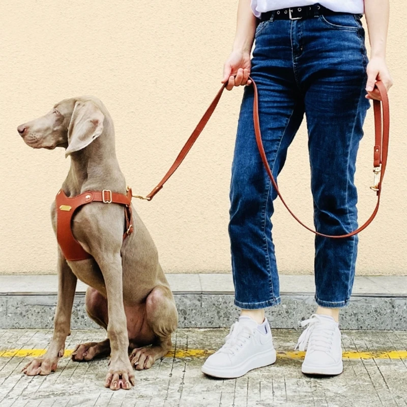 H7EA Dog Vest Harness with Leash No-pull Pet Chest Strap Walking Dogs Traction Harness Outdoor Activity Quick Release Harness
H7EA Dog Vest Harness with Leash No-pull Pet Chest Strap Walking Dogs Traction Harness Outdoor Activity Quick Release Harness