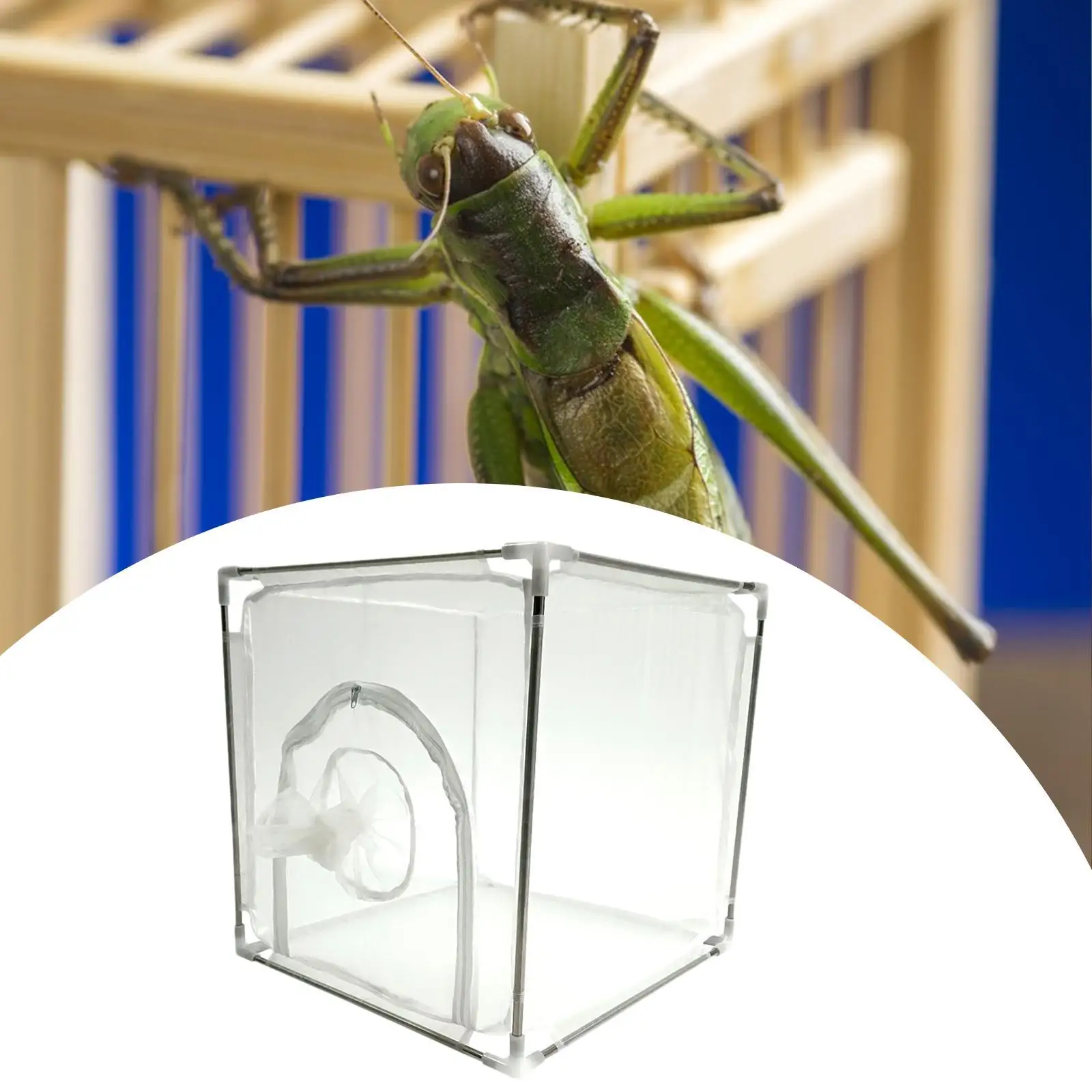 Butterfly Habitat Cage 150 Fine Mesh Easy to Assemble Ventilation Multifunctional Outdoor Insect Mesh Cage Terrarium Breathable
Butterfly Habitat Cage 150 Fine Mesh Easy to Assemble Ventilation Multifunctional Outdoor Insect Mesh Cage Terrarium Breathable