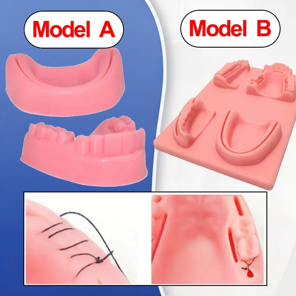 Dental Suture Oral Teeth Gum Suture Training Surgical Practice Dental Wounds Dentist Teaching Model Dental Lab Tools
Dental Suture Oral Teeth Gum Suture Training Surgical Practice Dental Wounds Dentist Teaching Model Dental Lab Tools