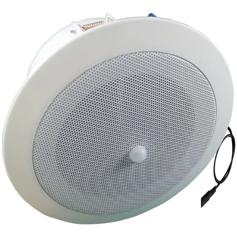 10W Indoor Entrance PIR Human Infrared Movement Detection Voice Prompt Ceiling Speaker
10W Indoor Entrance PIR Human Infrared Movement Detection Voice Prompt Ceiling Speaker