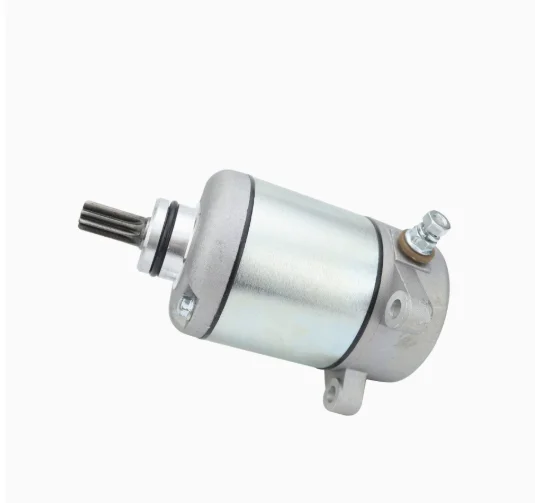 Starter Motor 31200-HM8-003 for HonTRX250TM Fourtrax Recon 229cc
Starter Motor 31200-HM8-003 for HonTRX250TM Fourtrax Recon 229cc