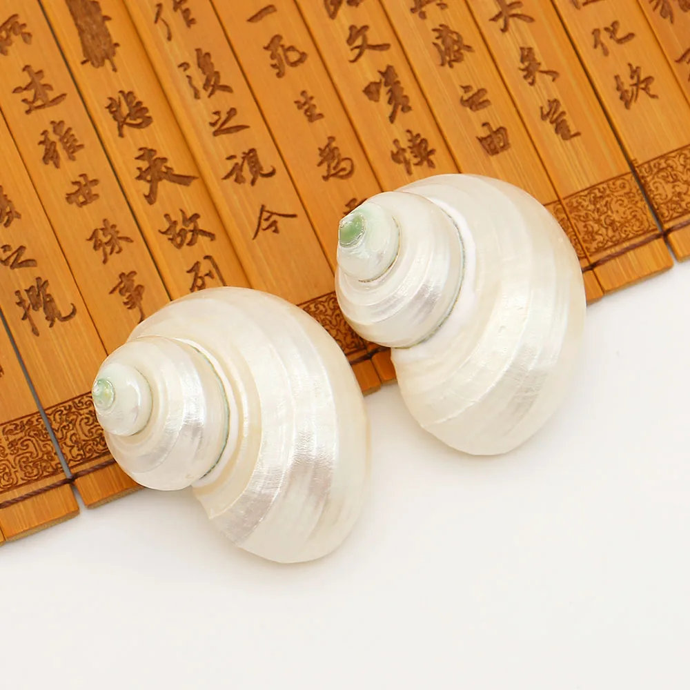 Natural Freshwater White Conch-shaped Shell Pendant Without Holes DIY Wind Chime Necklace Decoration Material Accessory 2pcs
Natural Freshwater White Conch-shaped Shell Pendant Without Holes DIY Wind Chime Necklace Decoration Material Accessory 2pcs