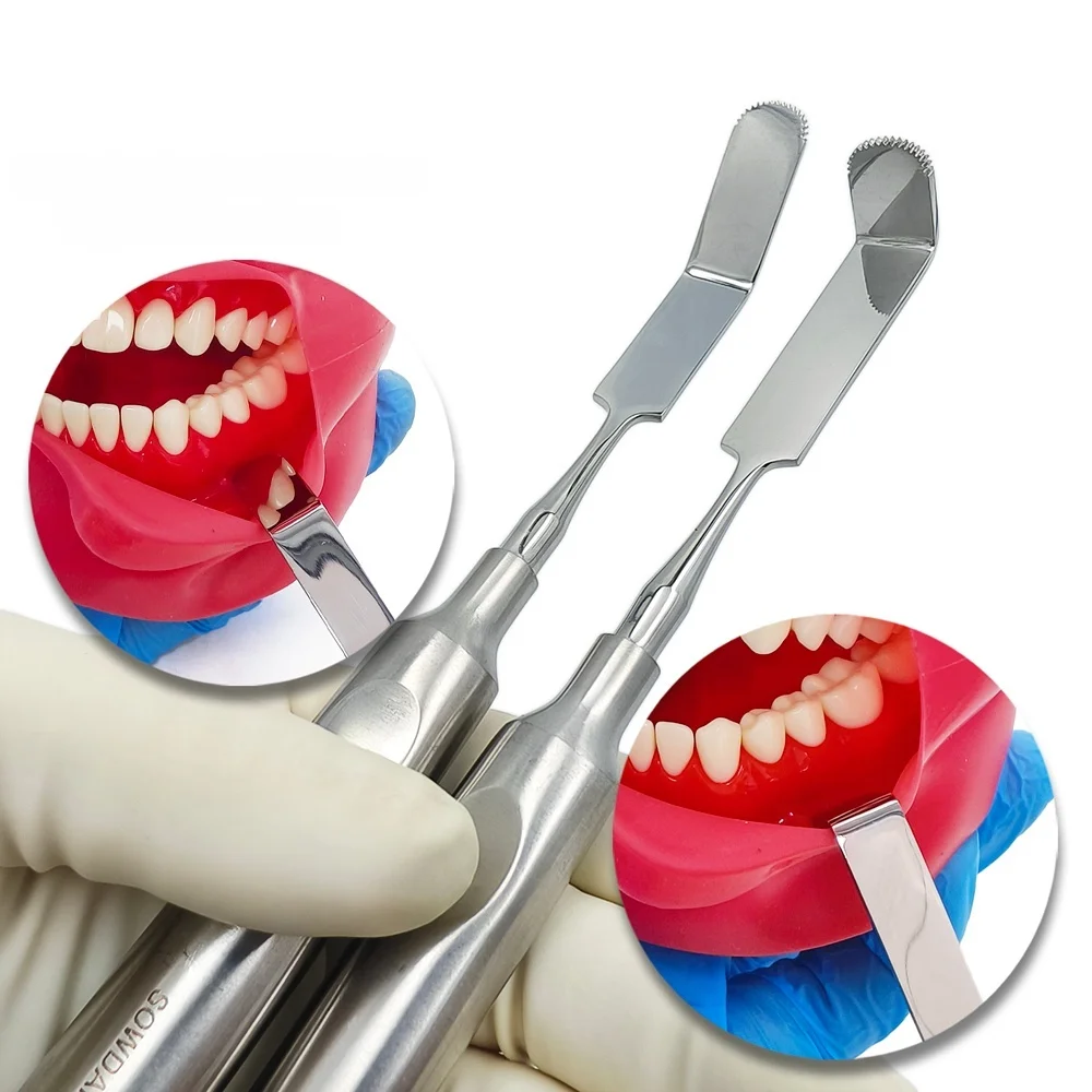 Стоматологический эндодонтический ретрактор, зубчатый угловой наконечник с зубчатым наконечником, хирургический открыватель для рта, ретрактор, инструмент для имплантации стоматолога
Стоматологический эндодонтический ретрактор, зубчатый угловой наконечник с зубчатым наконечником, хирургический открыватель для рта, ретрактор, инструмент для имплантации стоматолога