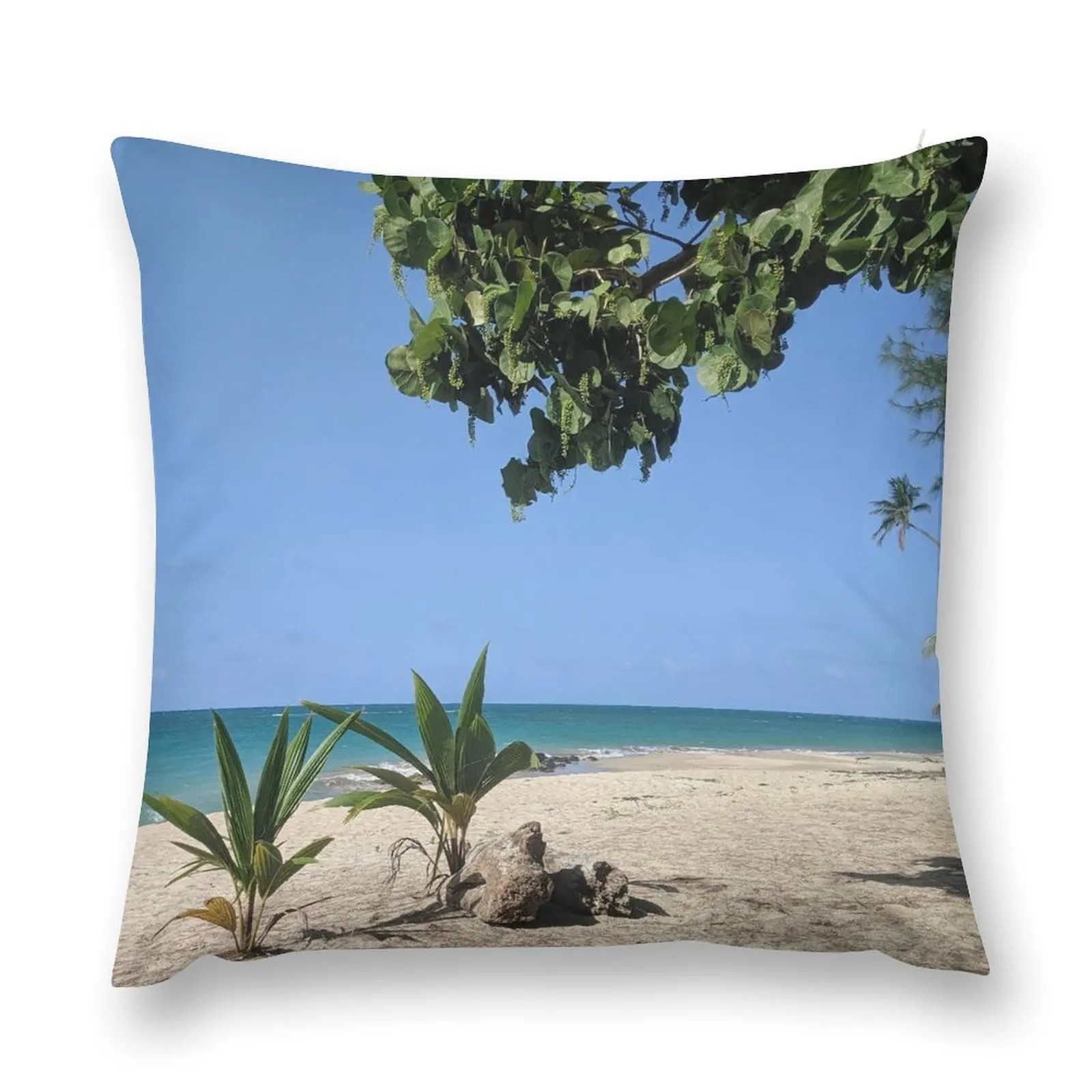 Loiza Beach Throw Pillow Custom Cushion Cushion Cover Set christmas decorations for home 2025 pillow
Loiza Beach Throw Pillow Custom Cushion Cushion Cover Set christmas decorations for home 2025 pillow