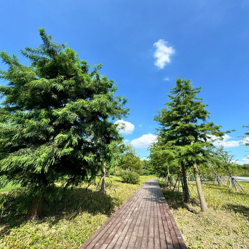 HGLRC Rekon3 3 inch 18650 Battery Long range FPV Crossover Frame
HGLRC Rekon3 3 inch 18650 Battery Long range FPV Crossover Frame