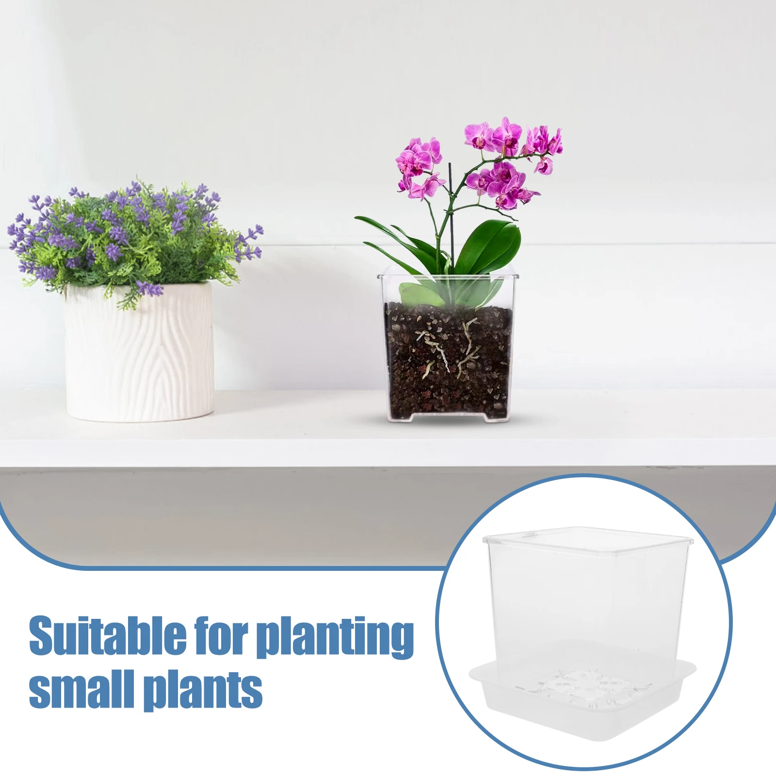 5pcs Acrylic Flower Pots Clear Orchid Planters With Holes For Phalaenopsis Growing Garden Nursery Plant Containers
5pcs Acrylic Flower Pots Clear Orchid Planters With Holes For Phalaenopsis Growing Garden Nursery Plant Containers