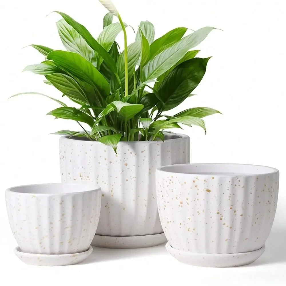 5 6 Inches Ceramic Plant Pots With Drainage Holes And Saucers, Round Flower Pots For Indoor Plant, Modern Flower Planters Set O
5 6 Inches Ceramic Plant Pots With Drainage Holes And Saucers, Round Flower Pots For Indoor Plant, Modern Flower Planters Set O