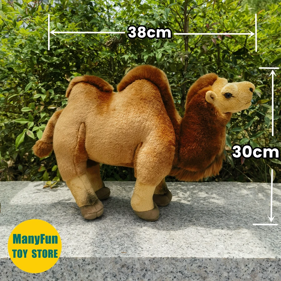 Bactrian Camel Plush Animal Lifelike Two Humped Camel Stuffed Toy Realistic Camel Plushie Simulation Doll Collectors
Bactrian Camel Plush Animal Lifelike Two Humped Camel Stuffed Toy Realistic Camel Plushie Simulation Doll Collectors