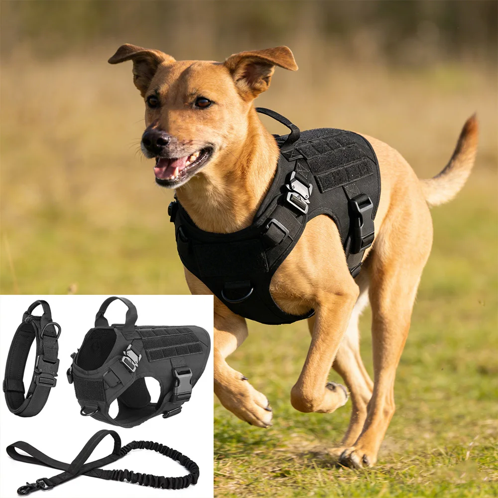 Регулируемый быстросъемный комплект шлейки и поводка для собак, сверхпрочный жилет без вытягивания для домашних животных для средних и больших собак, прогулок и тренировок на открытом воздухе
Регулируемый быстросъемный комплект шлейки и поводка для собак, сверхпрочный жилет без вытягивания для домашних животных для средних и больших собак, прогулок и тренировок на открытом воздухе