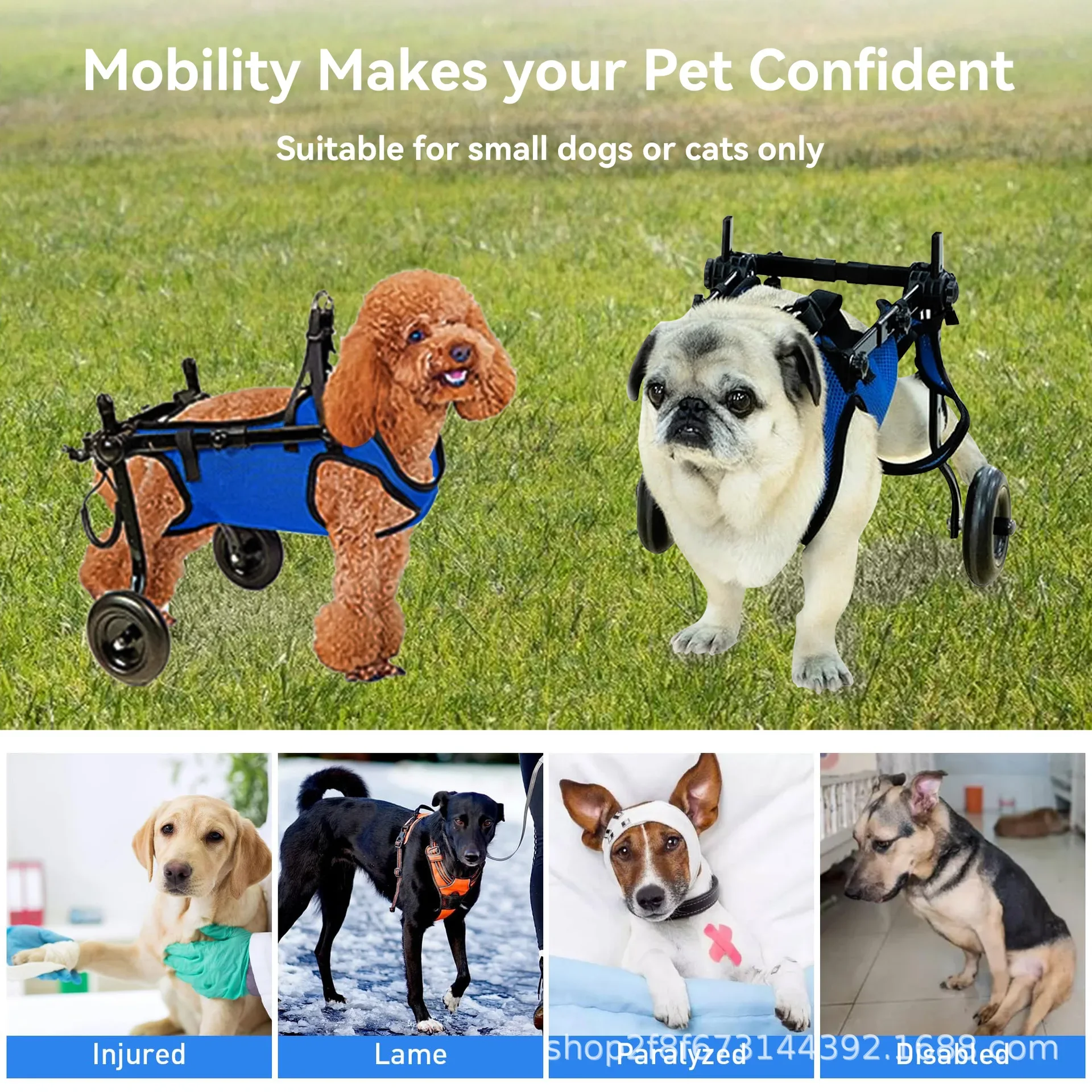 Pet Supplies Puppy Disability Vehicle, Dog Rehabilitation Walking Assist Vehicle, Pet Wheelchair Dog Mobility Assist Vehicle
Pet Supplies Puppy Disability Vehicle, Dog Rehabilitation Walking Assist Vehicle, Pet Wheelchair Dog Mobility Assist Vehicle