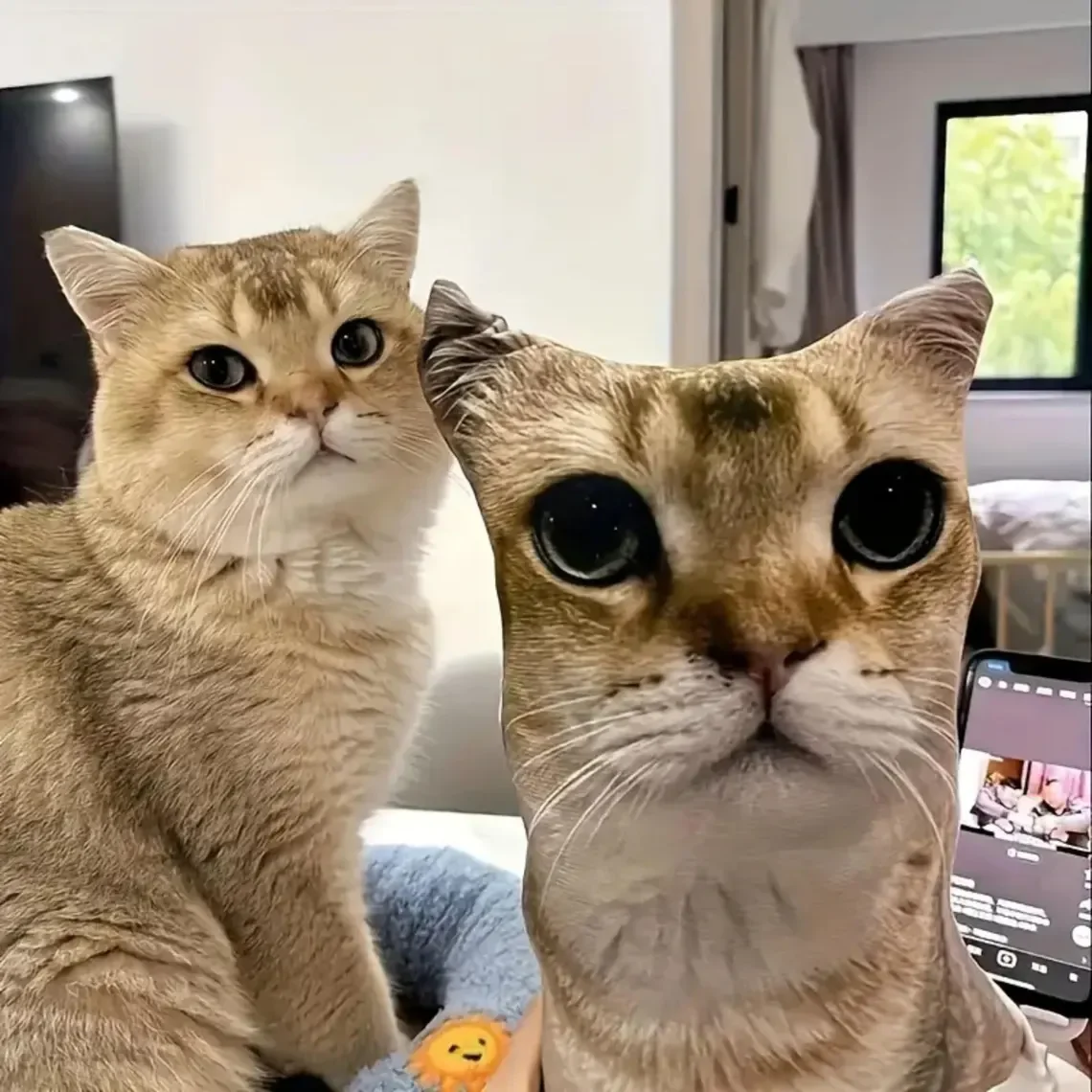 Индивидуальные милые удобные подушки для домашних животных, двусторонние подушки с принтом «сделай сам», мемориальные подушки и подушки для домашних животных без белой окантовки
Индивидуальные милые удобные подушки для домашних животных, двусторонние подушки с принтом «сделай сам», мемориальные подушки и подушки для домашних животных без белой окантовки