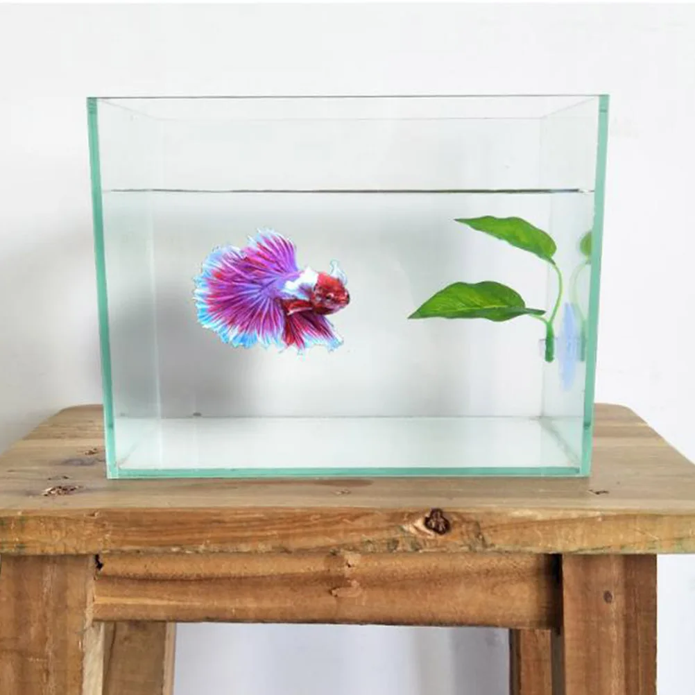 6Pcs Simulation Leaves Aquarium Landscape Decoration Safe Plastic Fish Tank Suction Natural Habitat Hiding Lifelike Artificial
6Pcs Simulation Leaves Aquarium Landscape Decoration Safe Plastic Fish Tank Suction Natural Habitat Hiding Lifelike Artificial