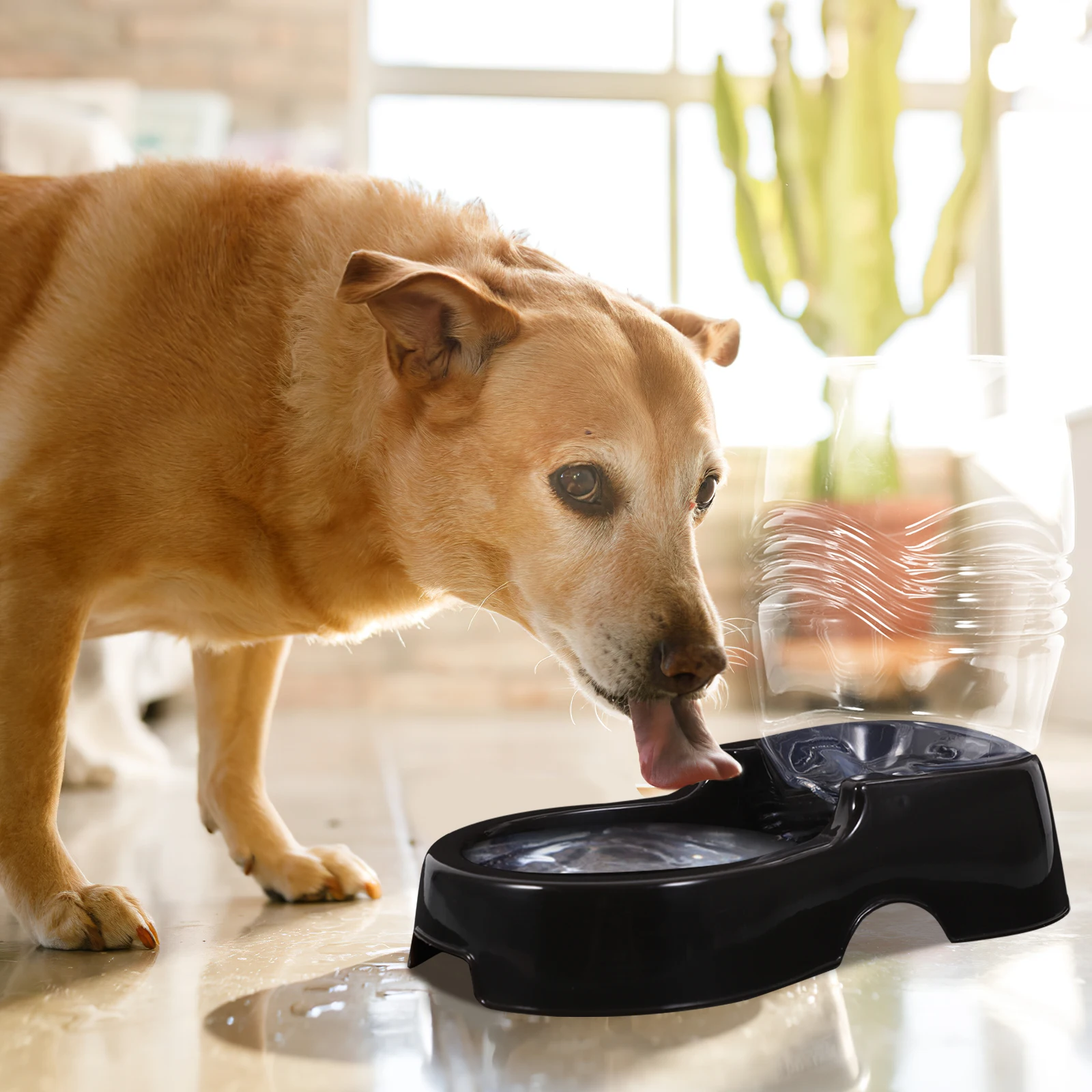 900ml Transparent Pet Cat Dog Water Dispenser Automatic Refill Healthy Waterer Fountain For Puppies And Small Dogs
900ml Transparent Pet Cat Dog Water Dispenser Automatic Refill Healthy Waterer Fountain For Puppies And Small Dogs