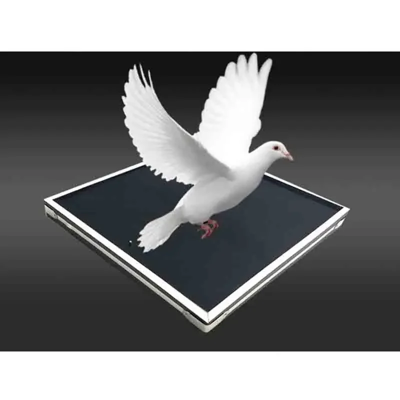 Воздушный шар Огненный голубь Лоток Волшебные трюки Объект появляется из огненного подноса Магия Фокусник Сцена крупным планом Волшебный реквизит Развлечения, улица
Воздушный шар Огненный голубь Лоток Волшебные трюки Объект появляется из огненного подноса Магия Фокусник Сцена крупным планом Волшебный реквизит Развлечения, улица