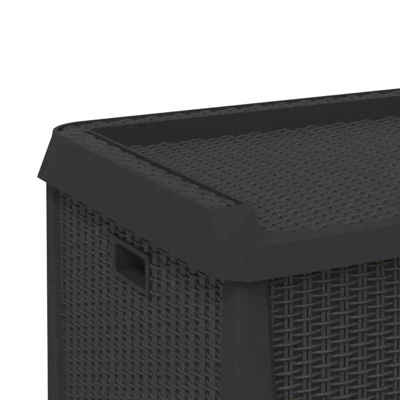 Garden Storage Box Anthracite Polypropylene Medium
Garden Storage Box Anthracite Polypropylene Medium