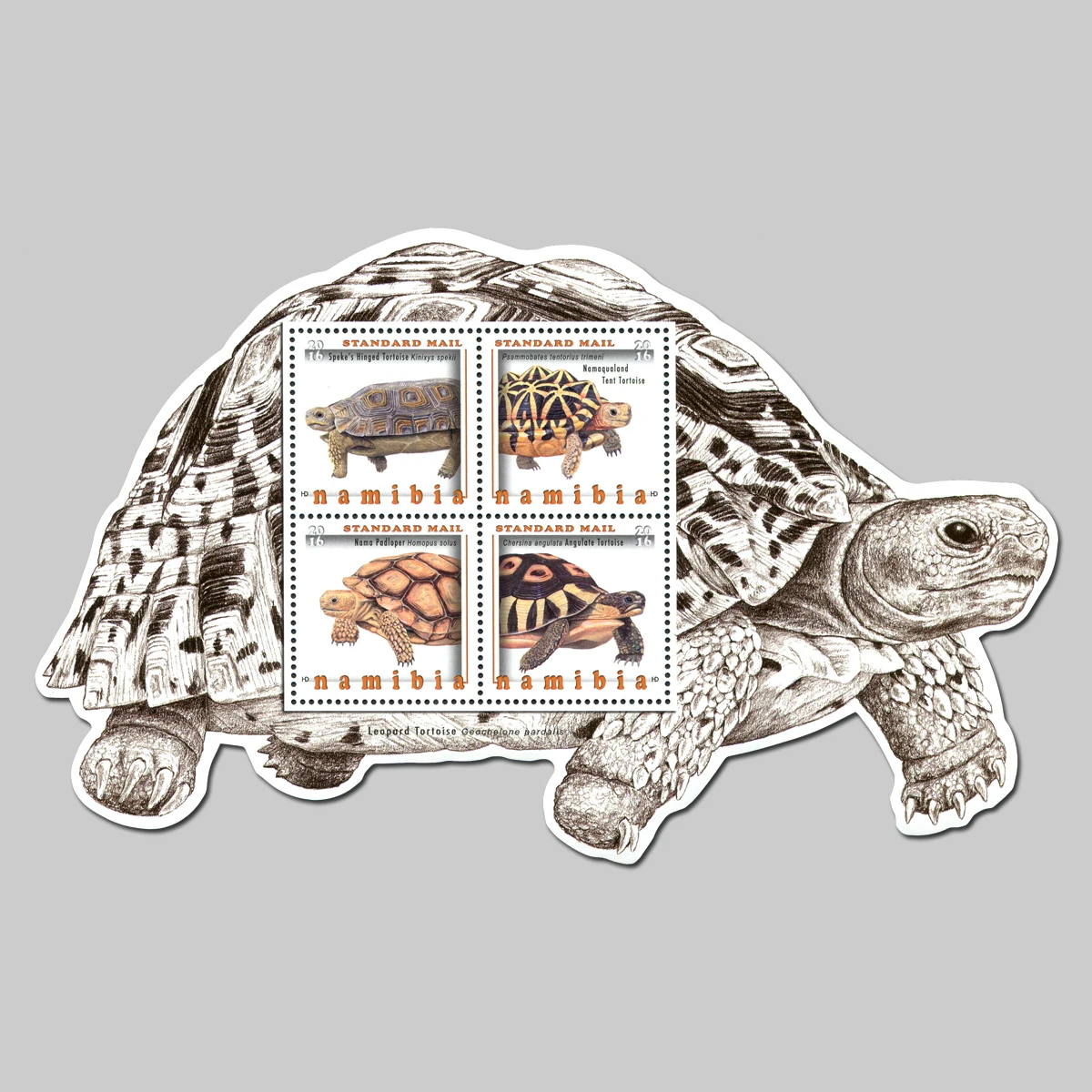 Почтовые марки Namibia, почтовые расходы Y2016, черепаха Namibia, 1 лист MNH 4, новые коллекционные почтовые марки, материал для скрапбукинга
Почтовые марки Namibia, почтовые расходы Y2016, черепаха Namibia, 1 лист MNH 4, новые коллекционные почтовые марки, материал для скрапбукинга