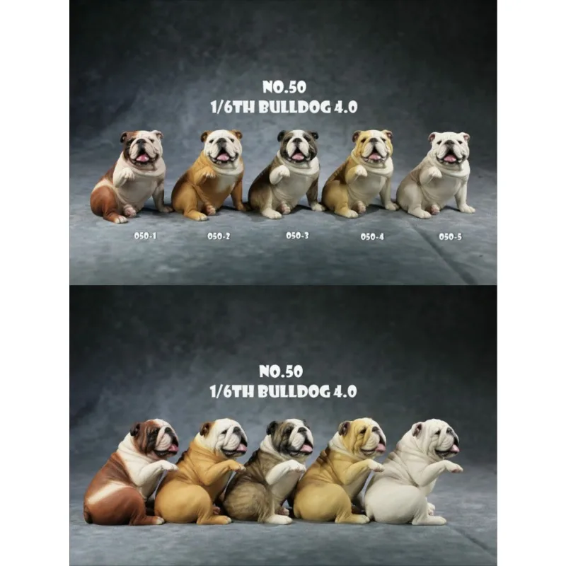 JXK 1/6 Scale Bulldog Toys Simulated Animal Model Smiling Raising Hand Resin Doll for 12inch Action Figures Accessory
JXK 1/6 Scale Bulldog Toys Simulated Animal Model Smiling Raising Hand Resin Doll for 12inch Action Figures Accessory