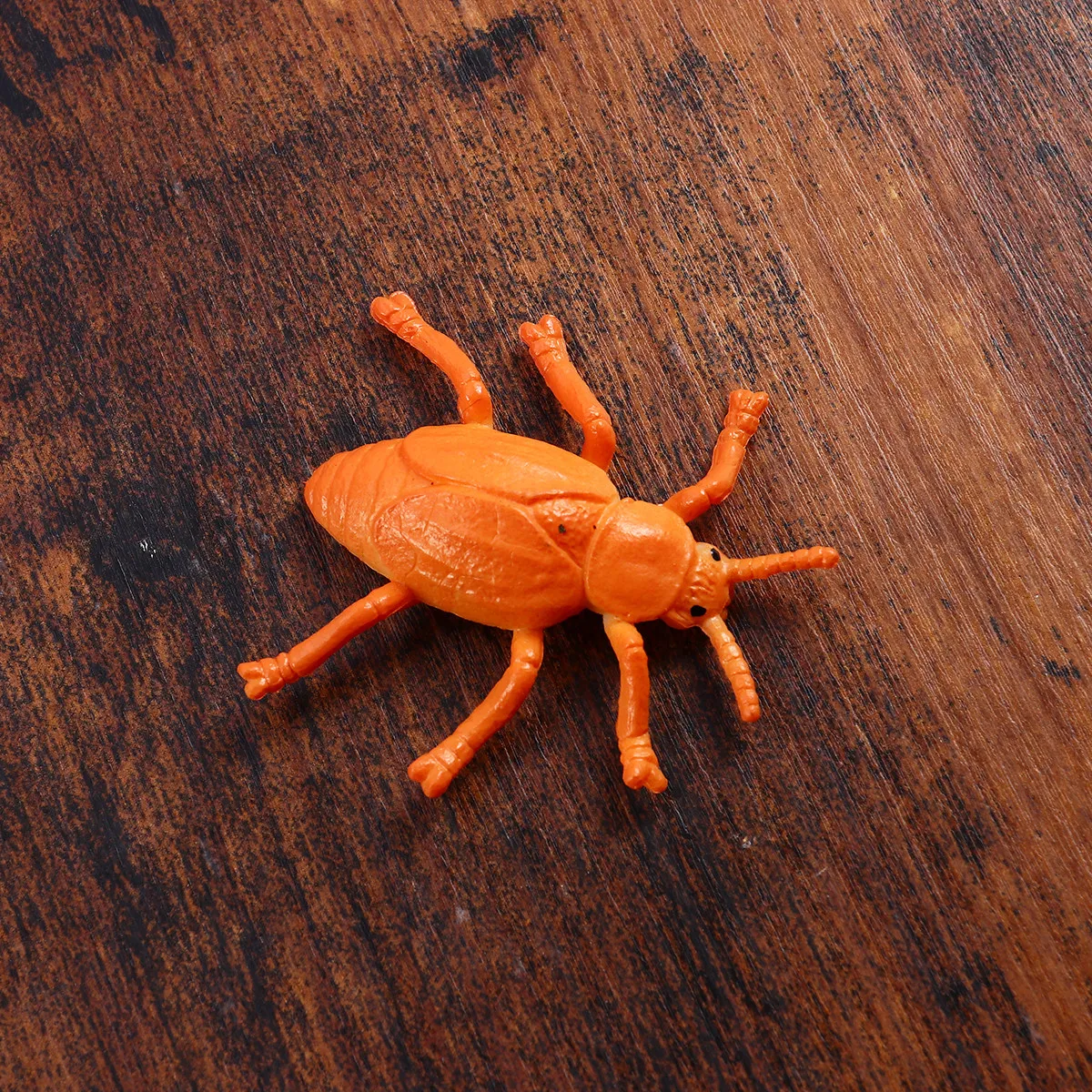 8 Pcs Toys Halloween Ornaments Bugs for Kids Tricks Pranks Decorations Horror Fake Insect
8 Pcs Toys Halloween Ornaments Bugs for Kids Tricks Pranks Decorations Horror Fake Insect