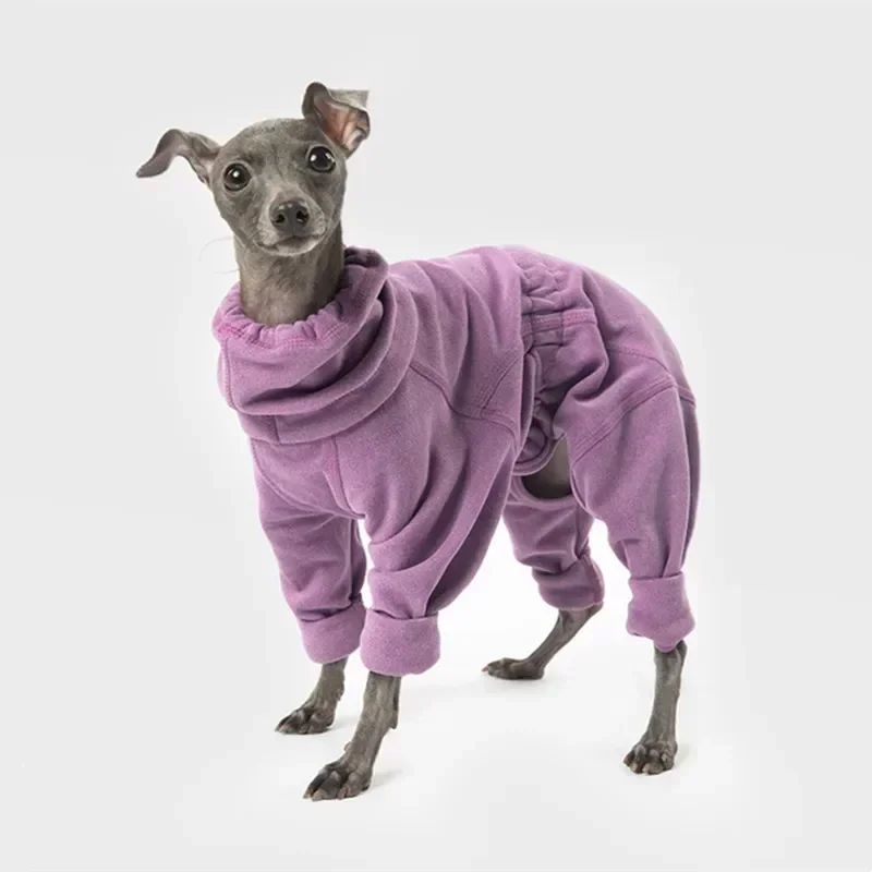 Small and Medium Dog Clothes Double-sided Velvet Dog Sweater Whitbit Greyhound Clothes Costume Accessories Dog Coat 
Small and Medium Dog Clothes Double-sided Velvet Dog Sweater Whitbit Greyhound Clothes Costume Accessories Dog Coat