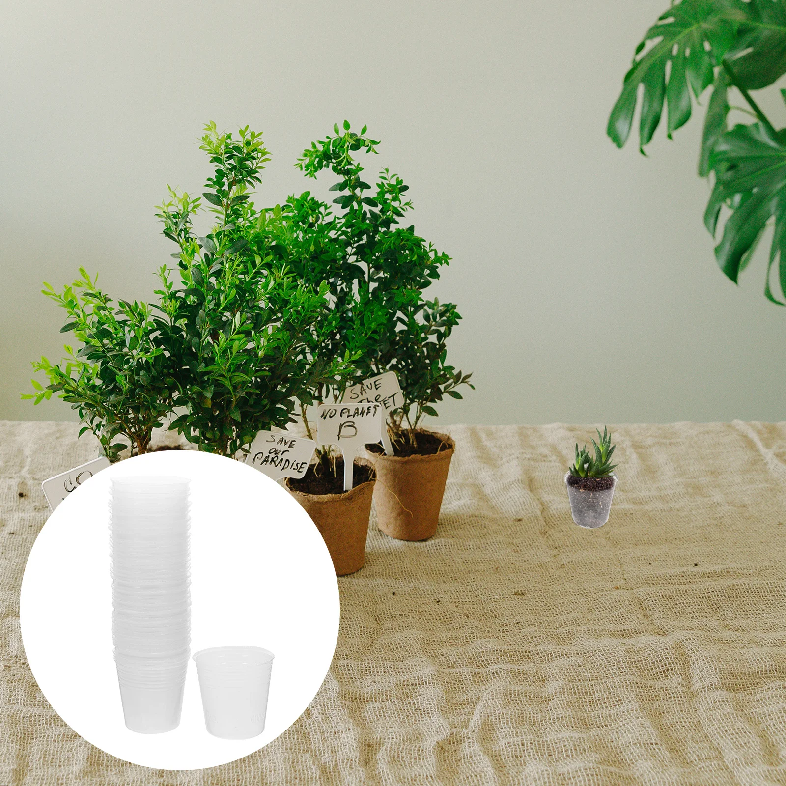 50pcs Clear Nursery Pots Plastic Plant Containers for Succulents Landscape Plants with Drainage Holes Easy Replanting Gift
50pcs Clear Nursery Pots Plastic Plant Containers for Succulents Landscape Plants with Drainage Holes Easy Replanting Gift