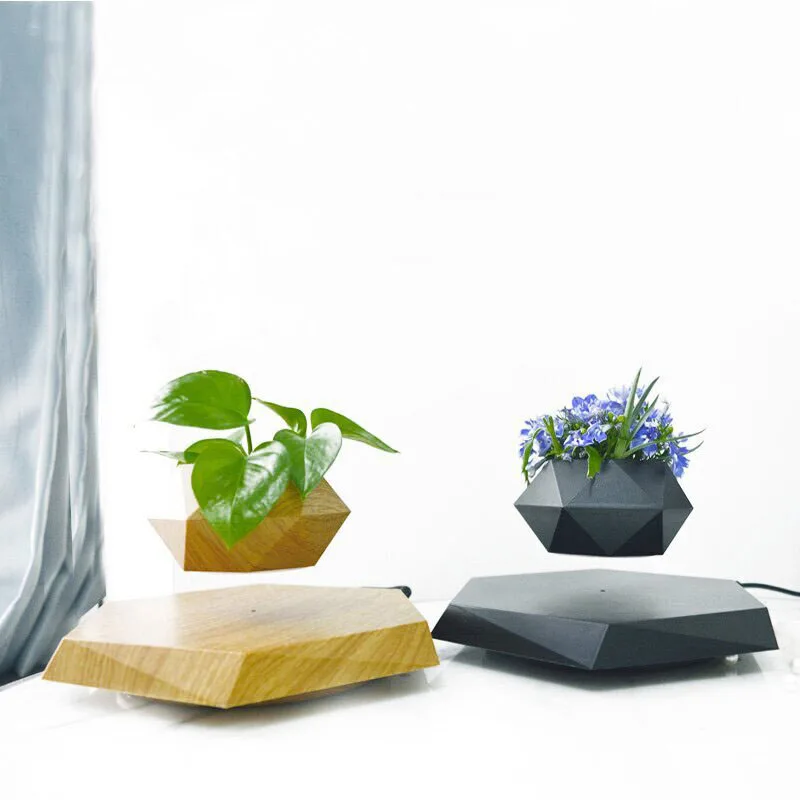 Magnetic Levitation Potted Plants, Aerial Green Plant Gifts, Office Decorations, Magnetic Levitation Flowers, Succulent Plants
Magnetic Levitation Potted Plants, Aerial Green Plant Gifts, Office Decorations, Magnetic Levitation Flowers, Succulent Plants