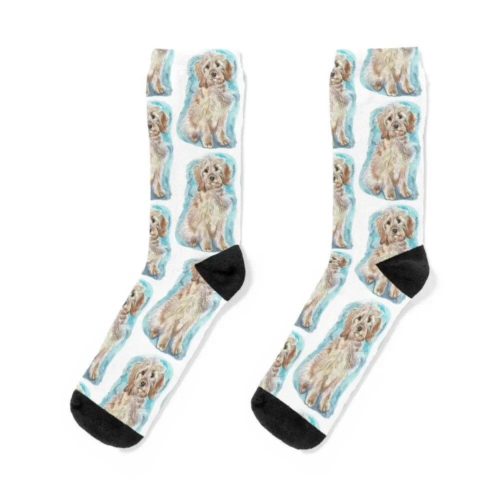 Cavoodle Socks Rugby Novelties hiphop Sports Men's Socks Women's 
Cavoodle Socks Rugby Novelties hiphop Sports Men's Socks Women's