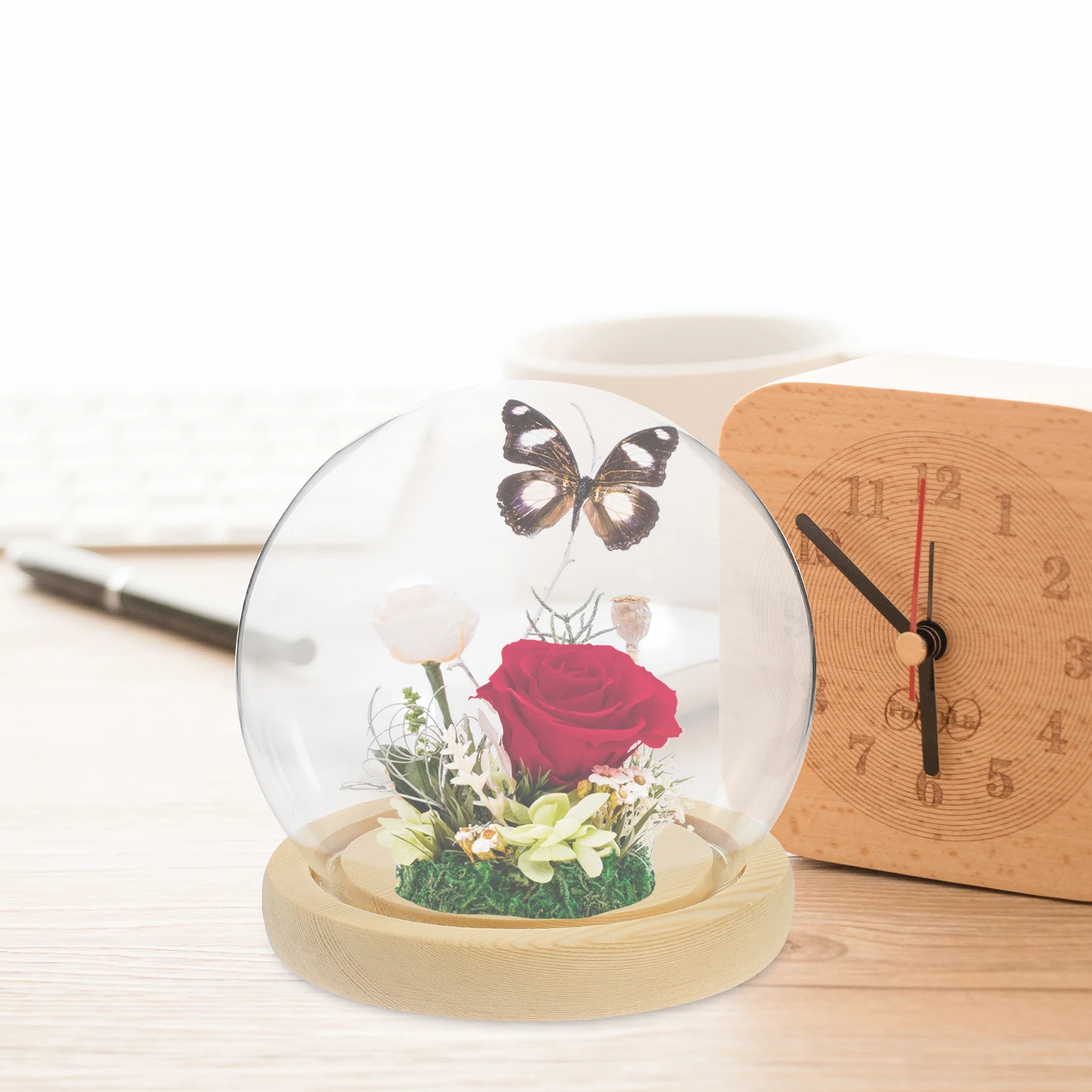 Glass Display Cover Domes Clear Cloche Preservation Flower Vase Craft Decor Dust Proof Container Home Office DIY 
Glass Display Cover Domes Clear Cloche Preservation Flower Vase Craft Decor Dust Proof Container Home Office DIY