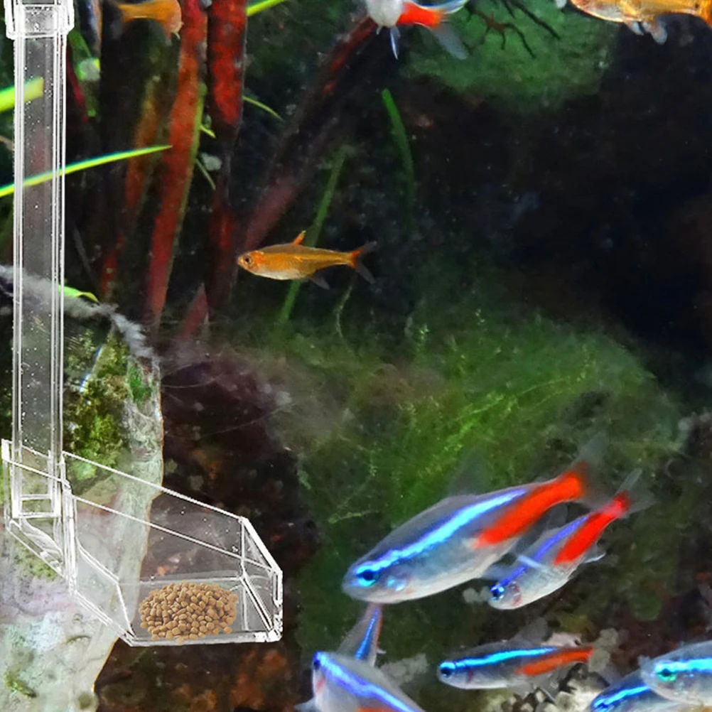 Tank Supplies Tube Transparent Acrylic Safe Convenient For Shrimp Crab Aquarium Supplies Tube Fish Feeder Transparent Aquarium 
Tank Supplies Tube Transparent Acrylic Safe Convenient For Shrimp Crab Aquarium Supplies Tube Fish Feeder Transparent Aquarium