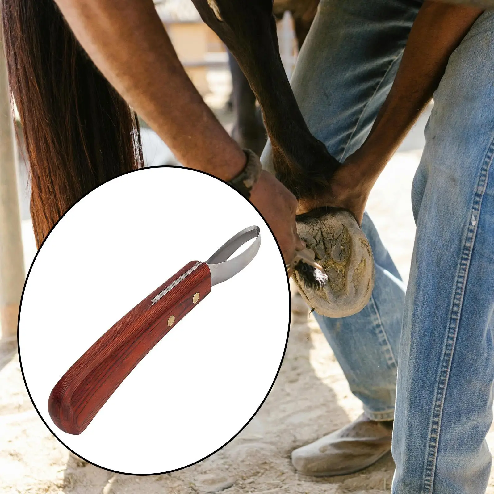 Horse Hoof Trimming Loop Wooden Handle Handheld Farrier Tool Horseshoe Trimmer Equestrian Accessories for Farm Animals Grooming
Horse Hoof Trimming Loop Wooden Handle Handheld Farrier Tool Horseshoe Trimmer Equestrian Accessories for Farm Animals Grooming