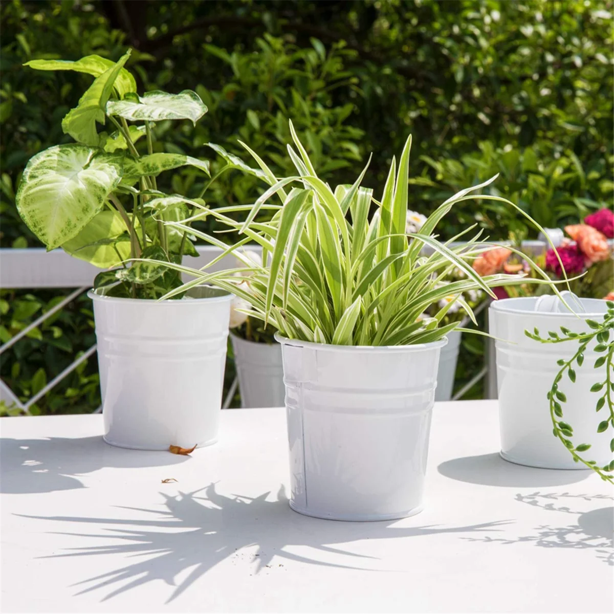 Hanging Flower Pot Metal Iron Bucket Flower Pot for Railing Garden Decorative Flower Stand Hanging Hanging Pot(White)HUG
Hanging Flower Pot Metal Iron Bucket Flower Pot for Railing Garden Decorative Flower Stand Hanging Hanging Pot(White)HUG