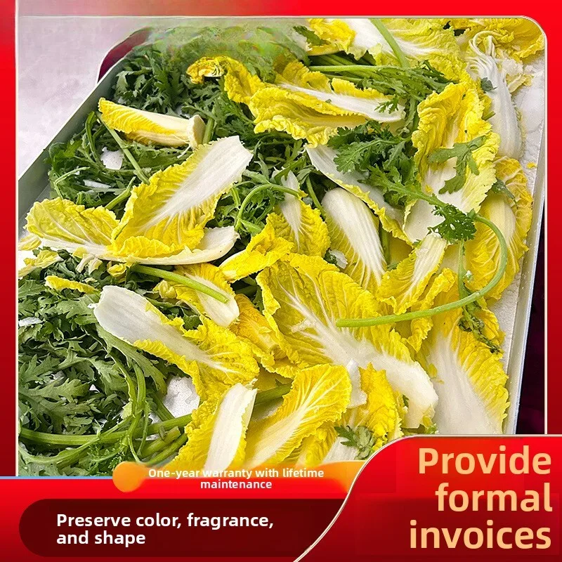 Large Convenient Food Fruit And Vegetable Vacuum Dryer Mushroom Ganoderma Freeze Drying Equipment
Large Convenient Food Fruit And Vegetable Vacuum Dryer Mushroom Ganoderma Freeze Drying Equipment