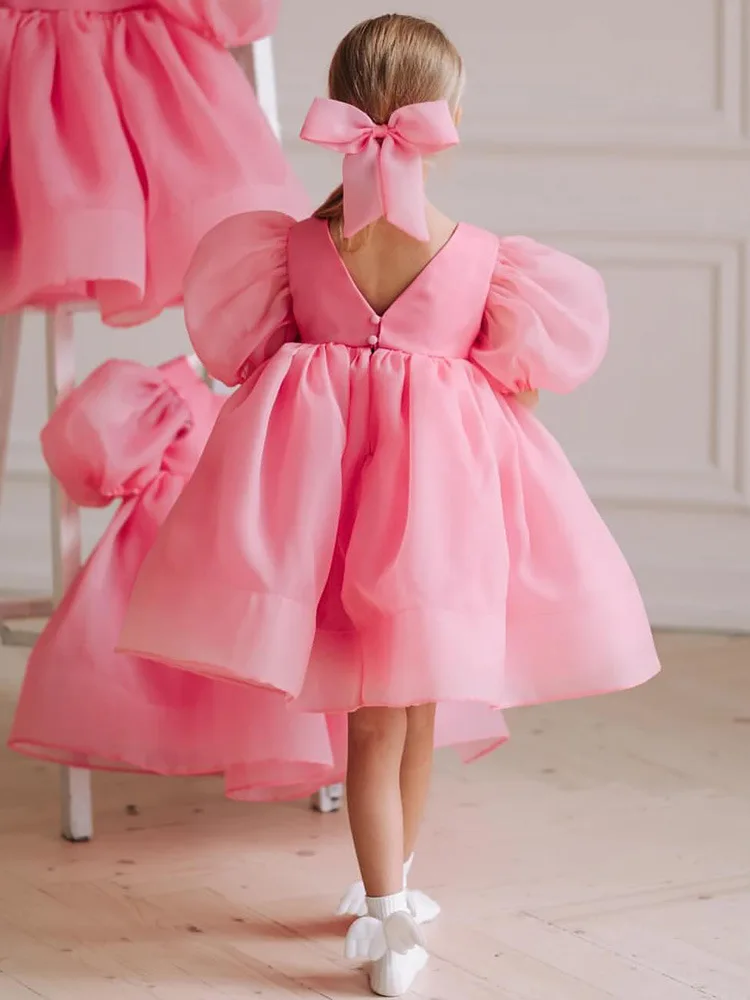 Girls' Princess Dress Pink Mesh Puff Sleeve Simple Design Baby Girl Toddler Big Girl Puffy Dress Children's Formal Dress
Girls' Princess Dress Pink Mesh Puff Sleeve Simple Design Baby Girl Toddler Big Girl Puffy Dress Children's Formal Dress