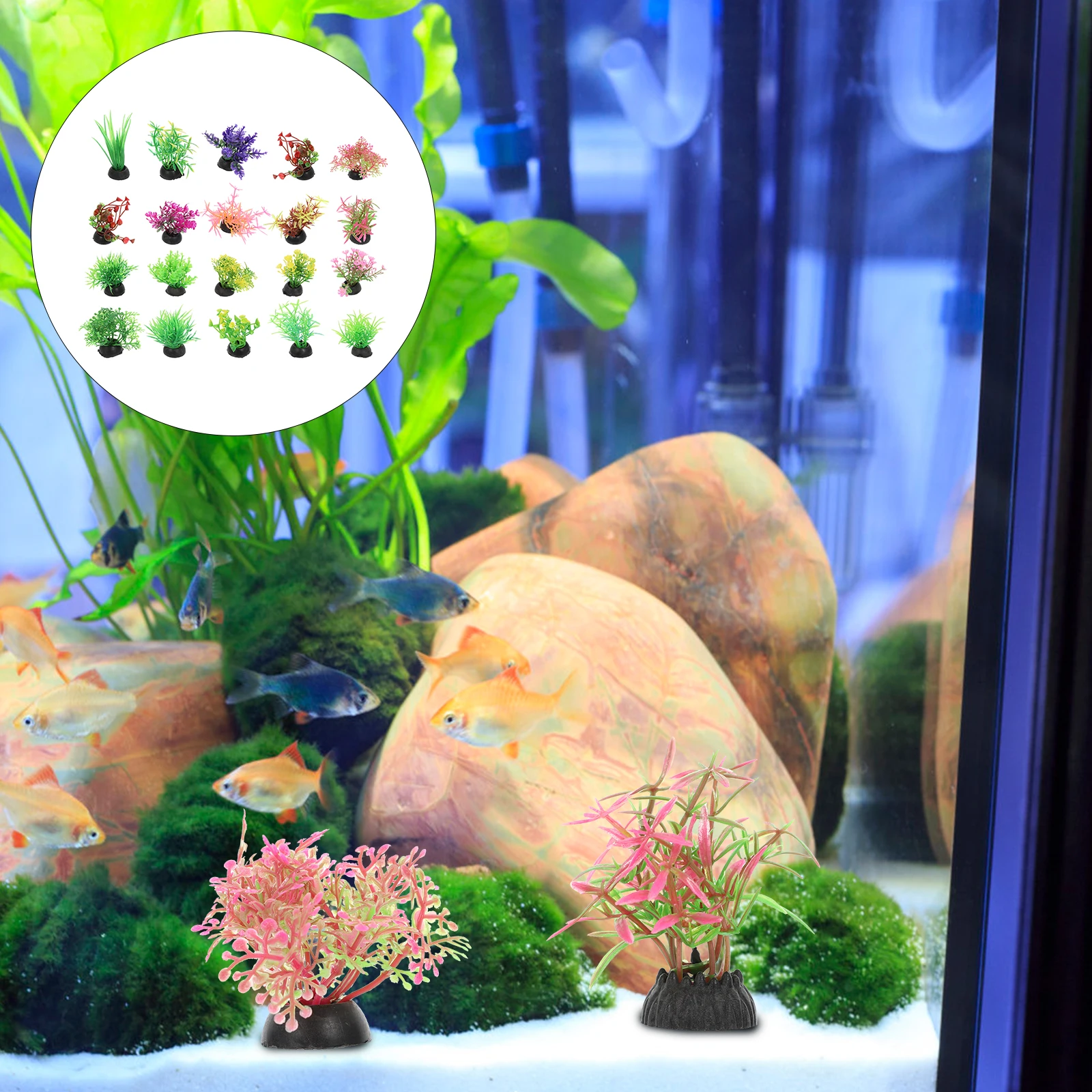 20 Pcs Artificial Water Plants Decorative Aquatic Grass Model Fish Tank Supplies Mini Landscape Simulation Aquarium Adornment
20 Pcs Artificial Water Plants Decorative Aquatic Grass Model Fish Tank Supplies Mini Landscape Simulation Aquarium Adornment