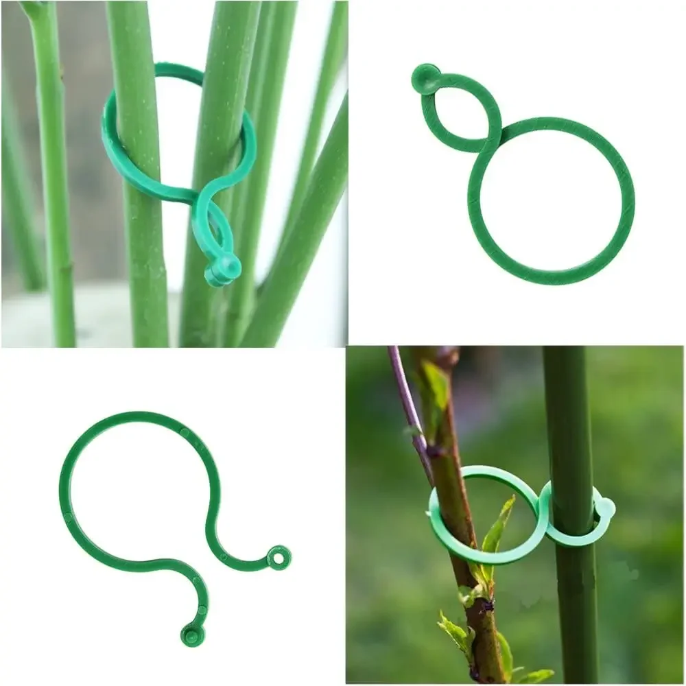 20Pcs Garden Plant Support Clips Trellis Vine Fixture Vine Bundled Buckle Hook Vegetable Tomato Fixed Support Clips
20Pcs Garden Plant Support Clips Trellis Vine Fixture Vine Bundled Buckle Hook Vegetable Tomato Fixed Support Clips