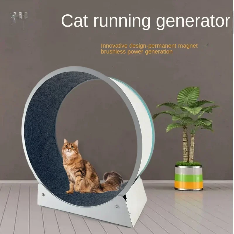 Cat Small Dog Running Generator Power Generation Roller Stable Pet Sports Fitness Toy USB Charging
Cat Small Dog Running Generator Power Generation Roller Stable Pet Sports Fitness Toy USB Charging