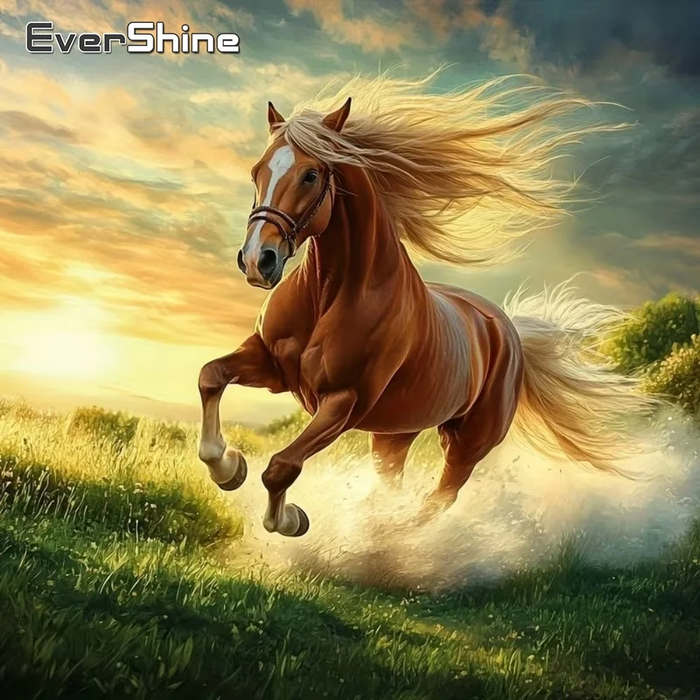 EverShine DIY Diamond Painting Horse Animal Embroidery Picture Rhinestones Full Drill Square Round Diamond Mosaic Holiday Gifts
EverShine DIY Diamond Painting Horse Animal Embroidery Picture Rhinestones Full Drill Square Round Diamond Mosaic Holiday Gifts
